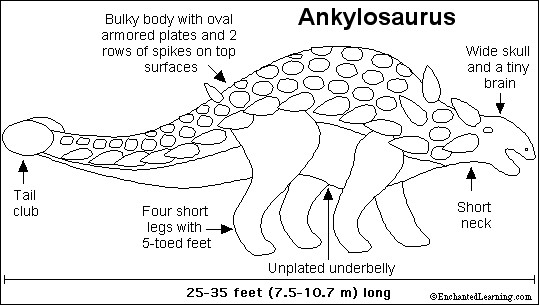 Ankylosaurus Diet