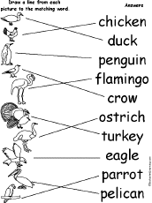 Circle Words