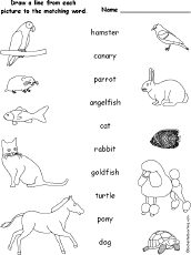 pets match words spelling worksheets pet animals animal cat matching printable dog goldfish printouts rabbit enchantedlearning hamster parrot kindergarten turtle