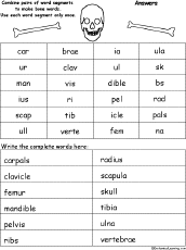 Word Pieces