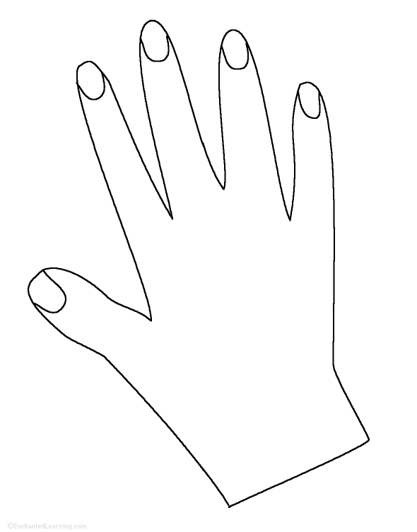 Hand Tracing/Cutting Template