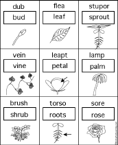 anagram