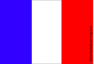 France's flag (sometimes