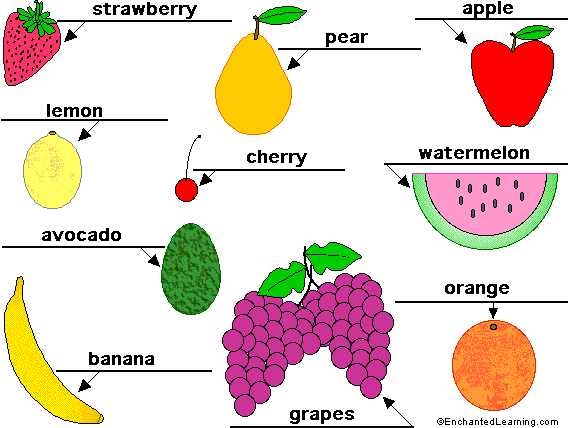 Label the fruit - answers