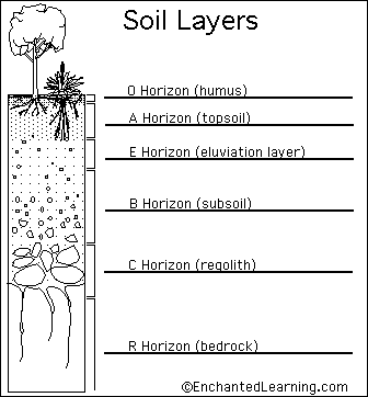 Soil Layers diagram to label