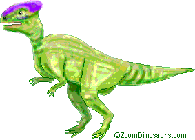 Homalocephale Dinosaur