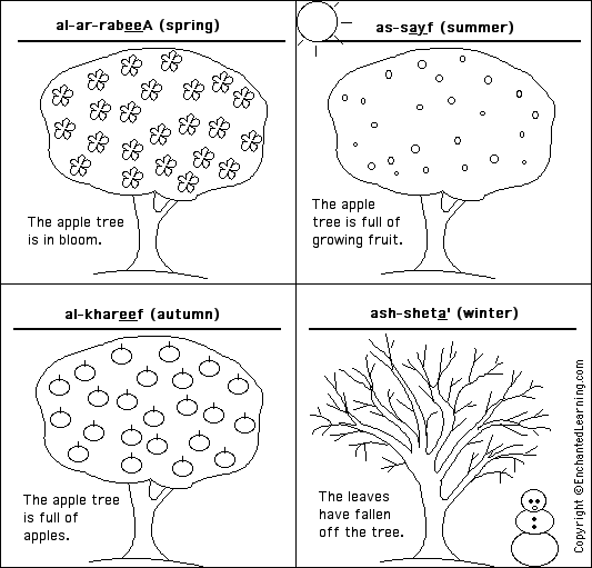 Label the seasons in Arabic - answers