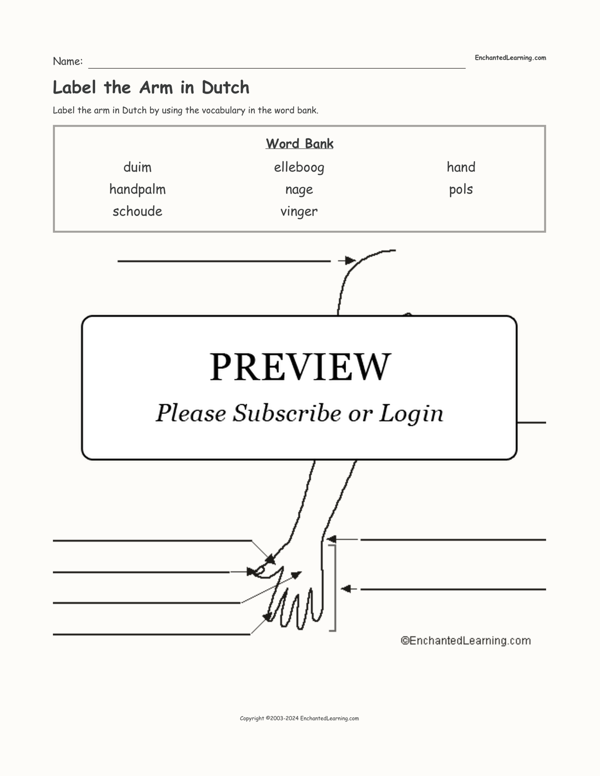 Label the Arm in Dutch interactive worksheet page 1