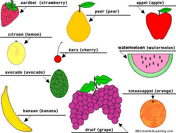 Label the fruit in Dutch - answers