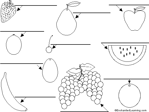 Label the fruit in Dutch
