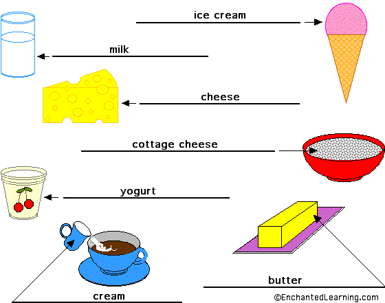 Label the Dairy Foods in English - answers