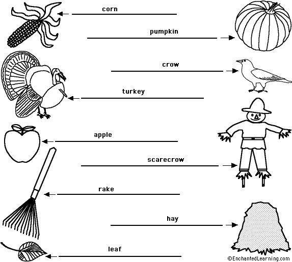Label the Fall/Autumn Words in English - answers