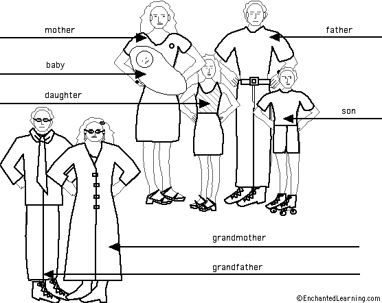 Label the Family in English - answers