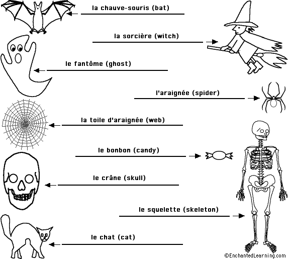 Label the Halloween Words in French - answers