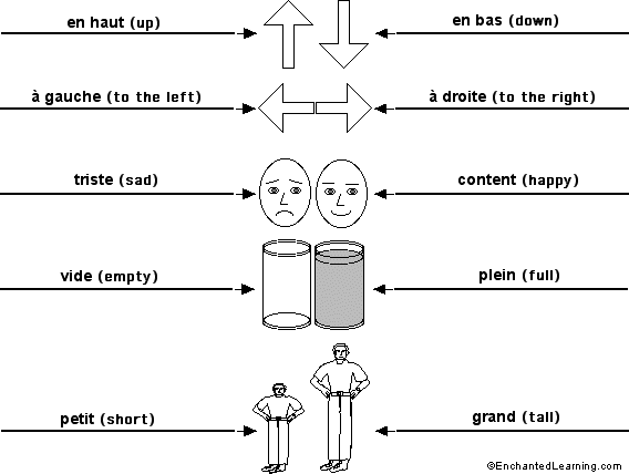 Label the opposites in French - answers