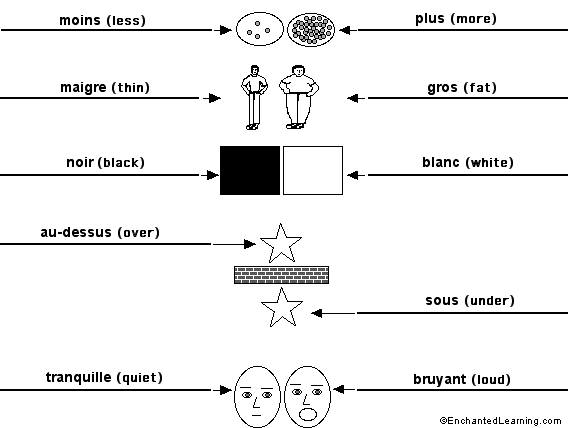 Label the opposites in French - answers