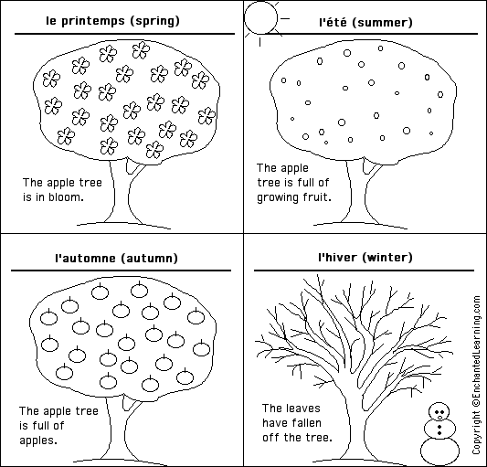 Label the seasons in French - answers