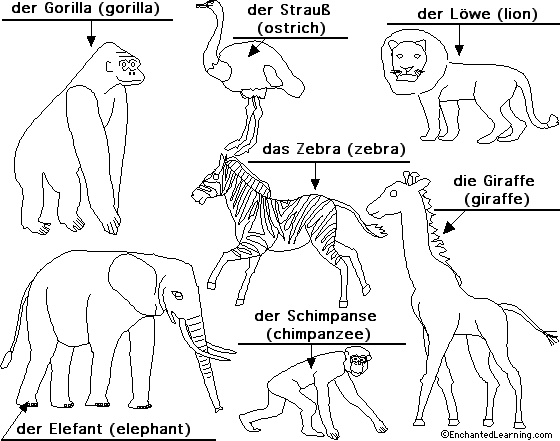 Label African animals in German - answers