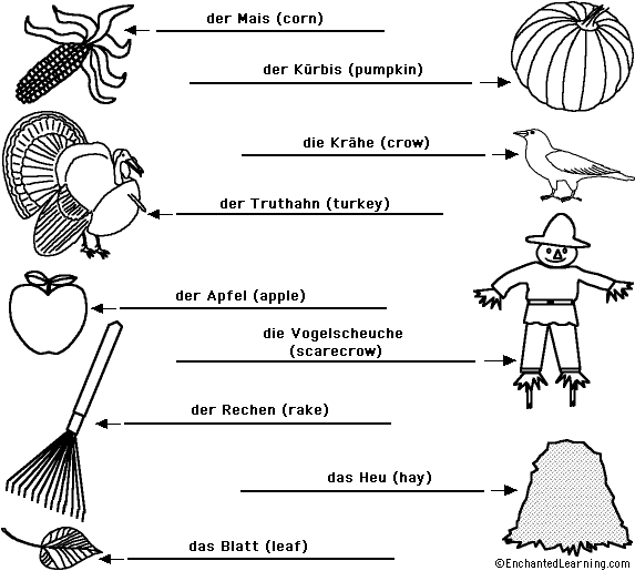 Label the Fall/Autumn Words in German - answers