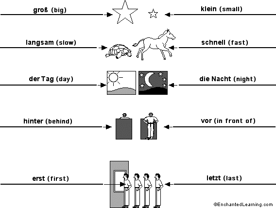 Label the opposites in German - answers