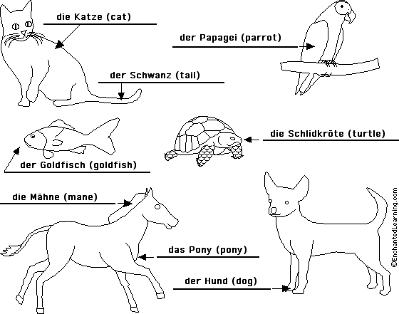 Label pets in German -answers