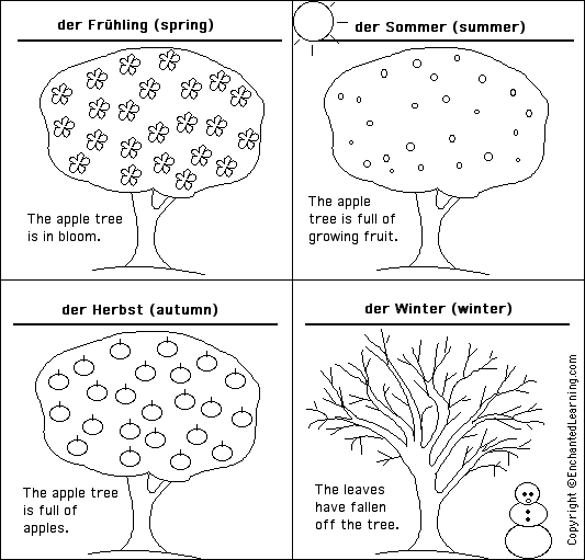 Label the seasons in German - answers