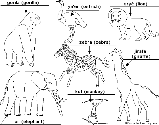 Label the African animals in Hebrew - answers
