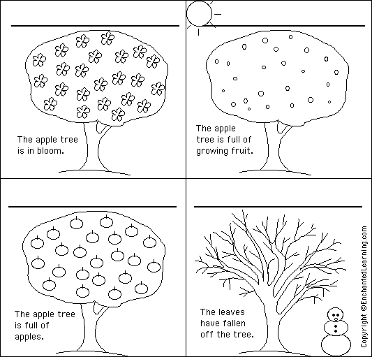 Label the seasons in Italian