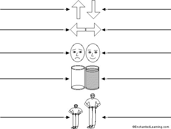 Label the opposites in Spanish