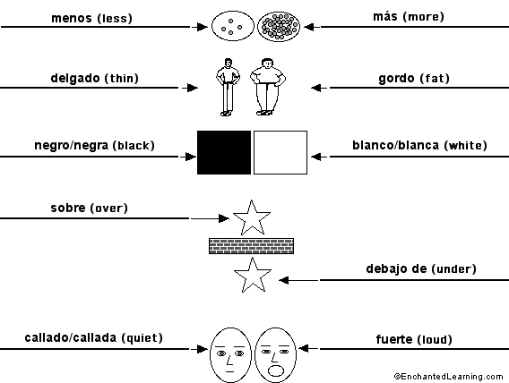 Label the opposites in Spanish - answers