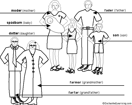 Label the Family in Swedish - answers