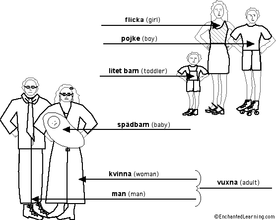 Label the People in Swedish - answers