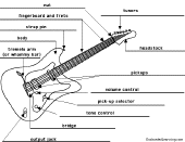 Label the electric guitar - answers