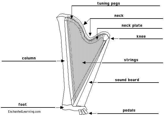 Label the harp - answers
