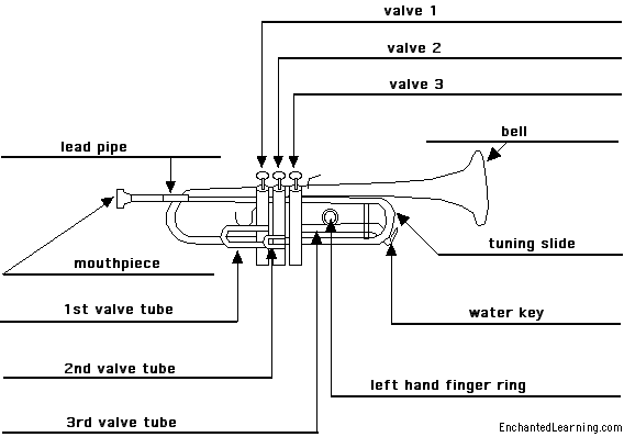 Label the trumpet - answers