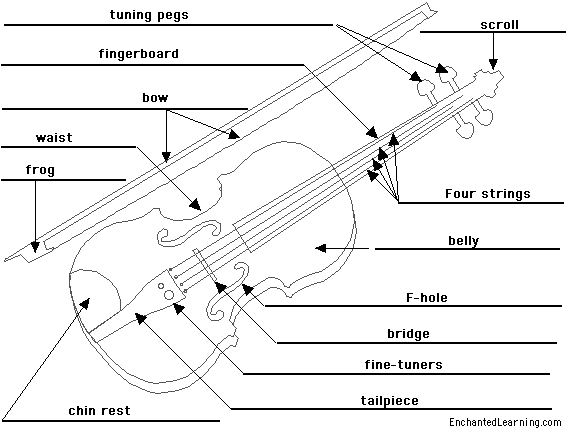 Label the violin - answers