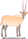 Long Horned Antelope