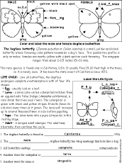 Worksheet