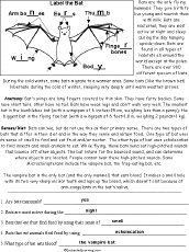 Worksheet