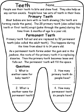 function of teeth