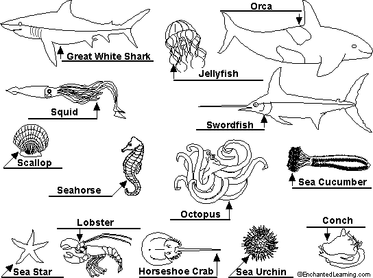 Ocean animals to label