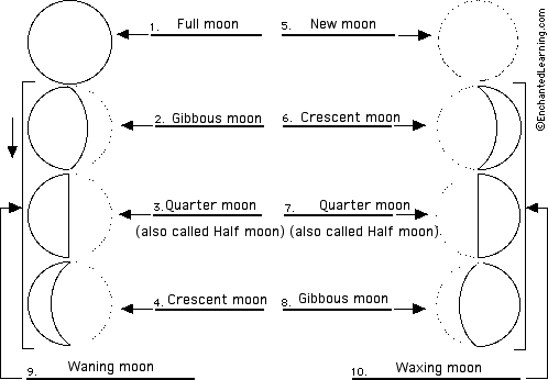 moon phases diagram to label
