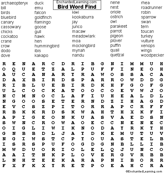 Bird Wordsearch Puzzle Enchanted Learning Software