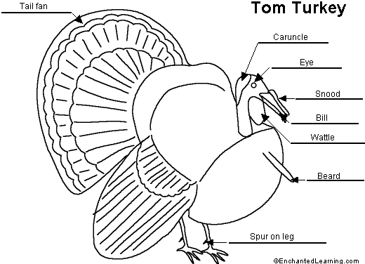 turkey to label