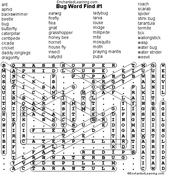 bug-wordsearch-puzzle-answers-enchanted-learning-software