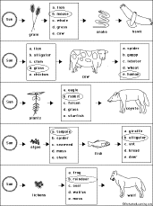 comprehension