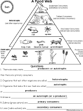 comprehension