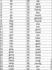 Word Hunt