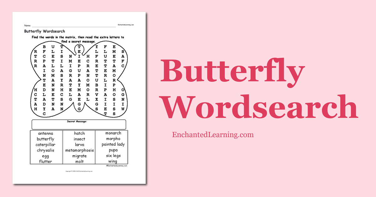 Butterfly Wordsearch Enchanted Learning