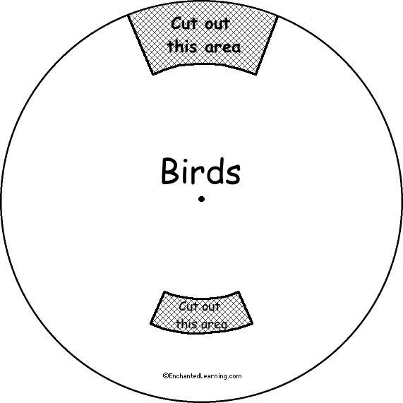 Cut Out Birds
